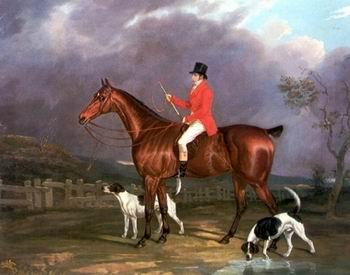 unknow artist Classical hunting fox, Equestrian and Beautiful Horses, 248. oil painting image